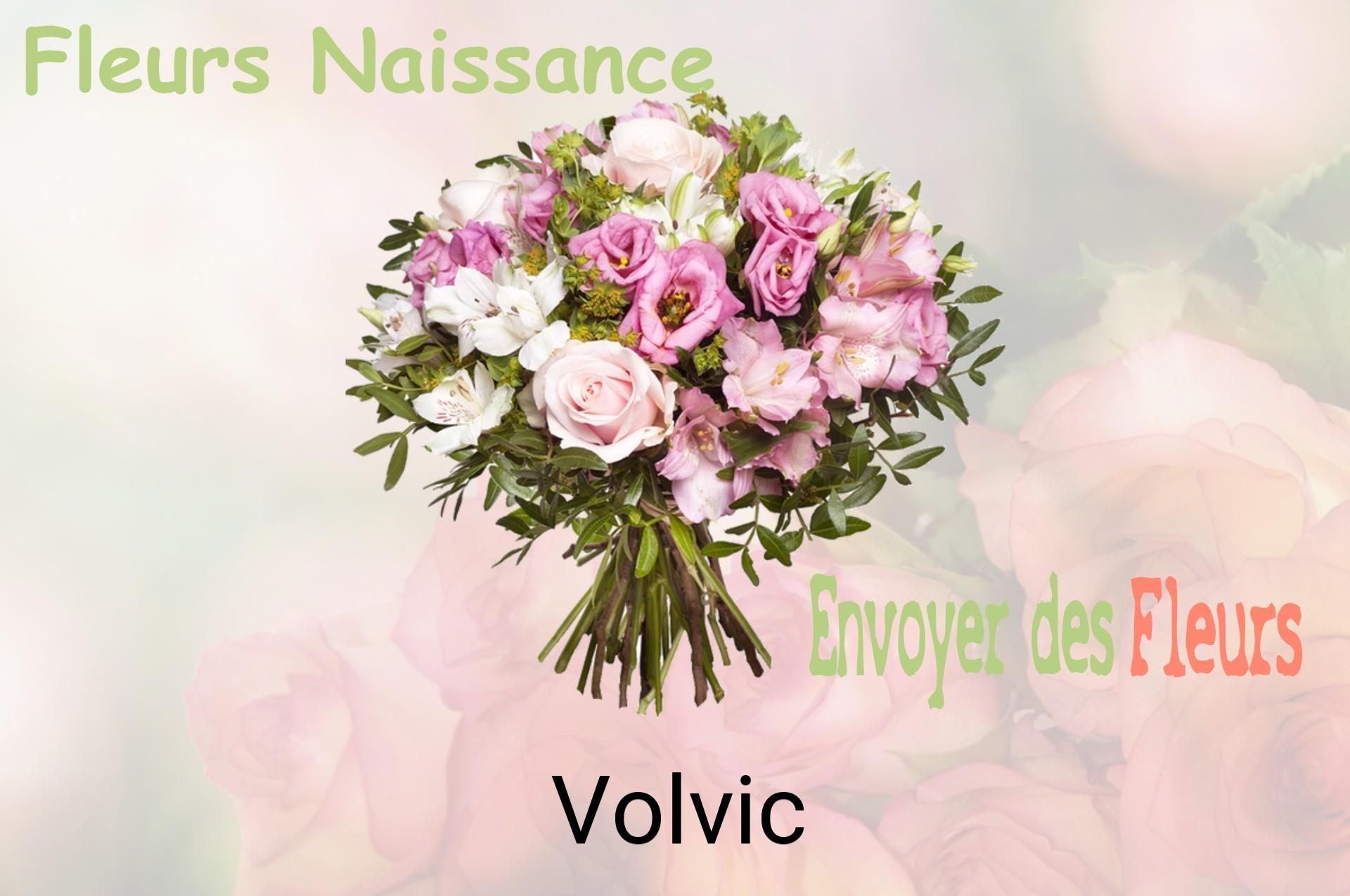 Bouquet de fleurs de naissance livré à Volvic