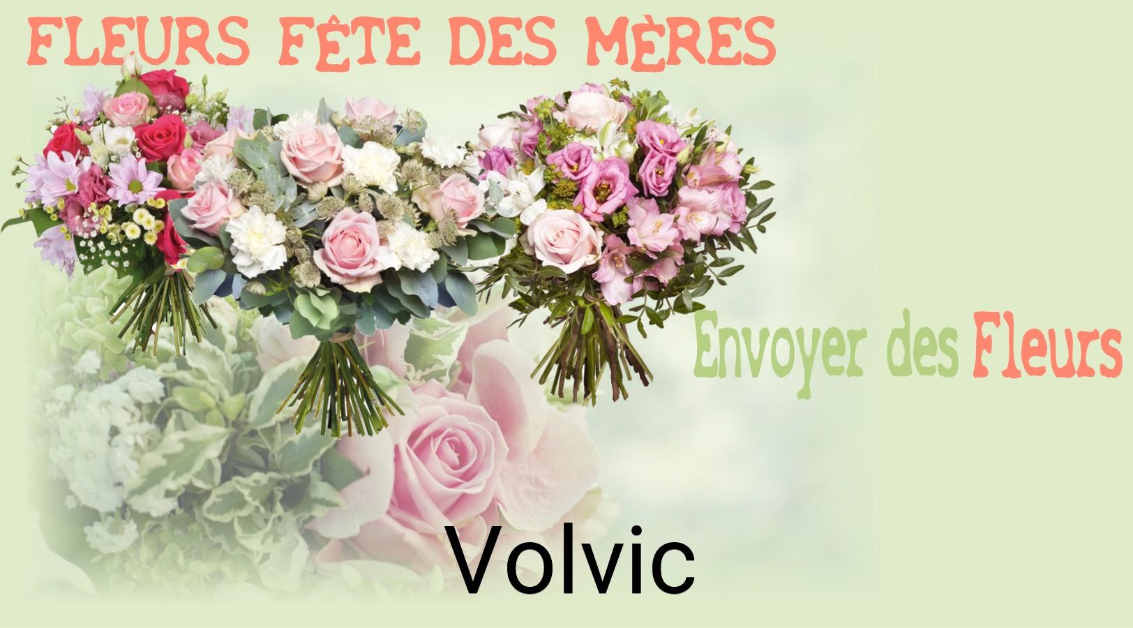 Bouquet de Fête des Mères livré à Volvic